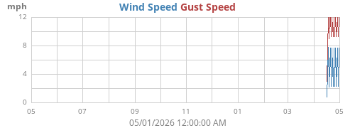 yearwind